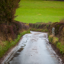 Hambleden - 31 December 2013 / Up the lane