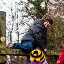 Hambleden - 31 December 2013 / Oscar climbing over the fence
