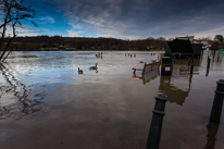 Henley-on-Thames - 08 January 2014 / Flooding by the River Thames in Henley