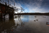 Henley-on-Thames - 08 January 2014 / Flooding by the River Thames in Henley