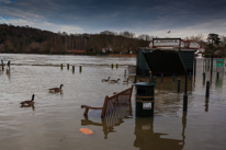 Henley-on-Thames - 08 January 2014 / Flooding by the River Thames in Henley