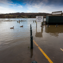 Henley-on-Thames - 08 January 2014 / Flooding by the River Thames in Henley