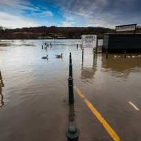 Henley-on-Thames - 08 January 2014 / Flooding by the River Thames in Henley