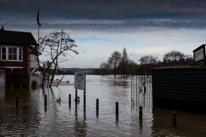 Henley-on-Thames - 08 January 2014 / Flooding by the River Thames in Henley