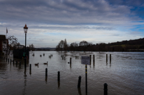 Henley-on-Thames - 08 January 2014 / Flooding by the River Thames in Henley