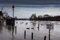 Henley-on-Thames - 08 January 2014 / Flooding by the River Thames in Henley