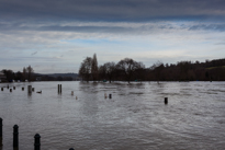 Henley-on-Thames - 08 January 2014 / Flooding by the River Thames in Henley