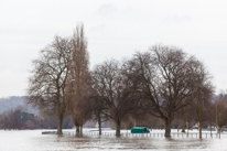 Henley-on-Thames - 08 January 2014 / Flooding by the River Thames in Henley