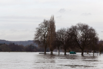 Henley-on-Thames - 08 January 2014 / Flooding by the River Thames in Henley