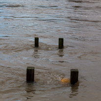 Henley-on-Thames - 08 January 2014 / Flooding by the River Thames in Henley