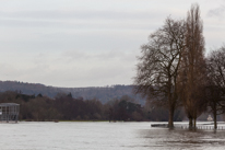 Henley-on-Thames - 08 January 2014 / Flooding by the River Thames in Henley