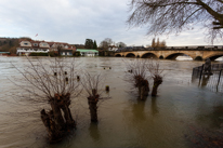 Henley-on-Thames - 08 January 2014 / Flooding by the River Thames in Henley