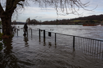 Henley-on-Thames - 08 January 2014 / Flooding by the River Thames in Henley