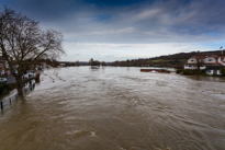 Henley-on-Thames - 08 January 2014 / Flooding by the River Thames in Henley