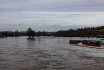 Henley-on-Thames - 08 January 2014 / Flooding by the River Thames in Henley