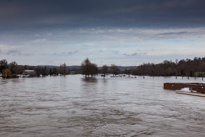 Henley-on-Thames - 08 January 2014 / Flooding by the River Thames in Henley