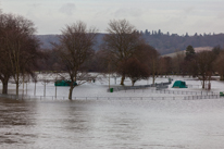 Henley-on-Thames - 08 January 2014 / Flooding by the River Thames in Henley