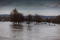 Henley-on-Thames - 08 January 2014 / Flooding by the River Thames in Henley