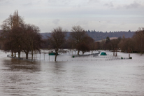 Henley-on-Thames - 08 January 2014 / Flooding by the River Thames in Henley