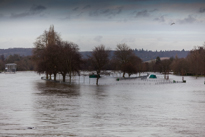 Henley-on-Thames - 08 January 2014 / Flooding by the River Thames in Henley