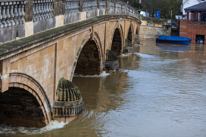 Henley-on-Thames - 08 January 2014 / Henley bridge