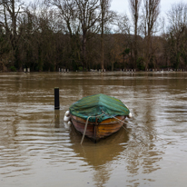 Henley-on-Thames - 08 January 2014 / Flooding by the River Thames in Henley