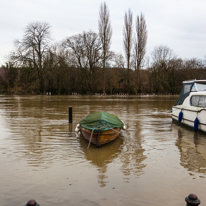 Henley-on-Thames - 08 January 2014 / Flooding by the River Thames in Henley