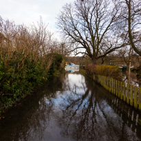 Henley-on-Thames - 08 January 2014 / Mill Meadows flooded