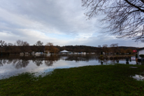 Henley-on-Thames - 08 January 2014 / Mill Meadows flooded