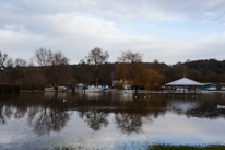 Henley-on-Thames - 08 January 2014 / Mill Meadows flooded