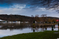 Henley-on-Thames - 08 January 2014 / Mill Meadows flooded