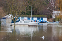 Henley-on-Thames - 08 January 2014 / Mill Meadows flooded