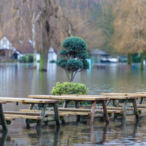 Henley-on-Thames - 08 January 2014 / Mill Meadows flooded