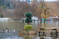 Henley-on-Thames - 08 January 2014 / Mill Meadows flooded