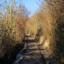 Maidensgrove - 15 February 2014 / The path from Maidensgrove down to Warburg