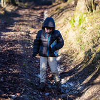 Maidensgrove - 15 February 2014 / Oscar interested by the chalk on the ground