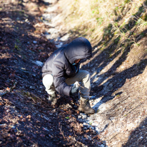 Maidensgrove - 15 February 2014 / Oscar interested by the chalk on the ground