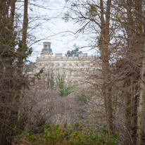Cliveden - 23 February 2014 / The view of Cliveden from down the woods