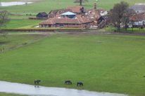 Cliveden - 23 February 2014 / A bit of flooding in the fields down near Cookham