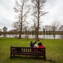 Cliveden - 23 February 2014 / Bench by the River