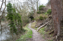 Cliveden - 23 February 2014 / The path which must have been badly flooded a few weeks ago