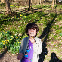 Henley-on-Thames - 16 March 2014 / Oscar playing with a small flower