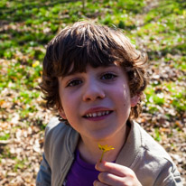 Henley-on-Thames - 16 March 2014 / Oscar playing with a small flower