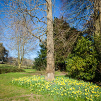 Henley-on-Thames - 16 March 2014 / Greys Court