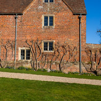 Henley-on-Thames - 16 March 2014 / Greys Court