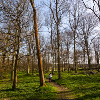 Henley-on-Thames - 29 March 2014 / Oscar and Nancy on the forest near Greys Court