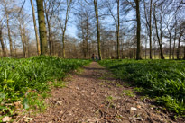 Henley-on-Thames - 29 March 2014 / The path