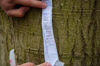 Bix - 30 March 2014 / a Geocaching log