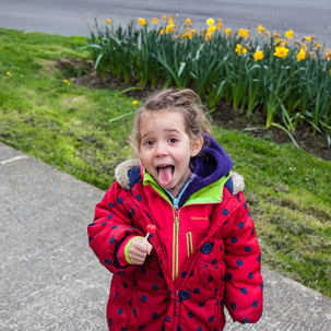 Fishguard - 12 April 2014 / Alana and her lollipop