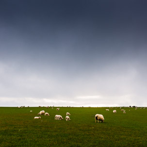 Dinas Island - 12 April 2014 / Sunset on Dinas Island Farm